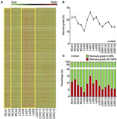 Identification of Specific Coronary Artery Disease Phenotypes Implicating Differential Pathophysiologies